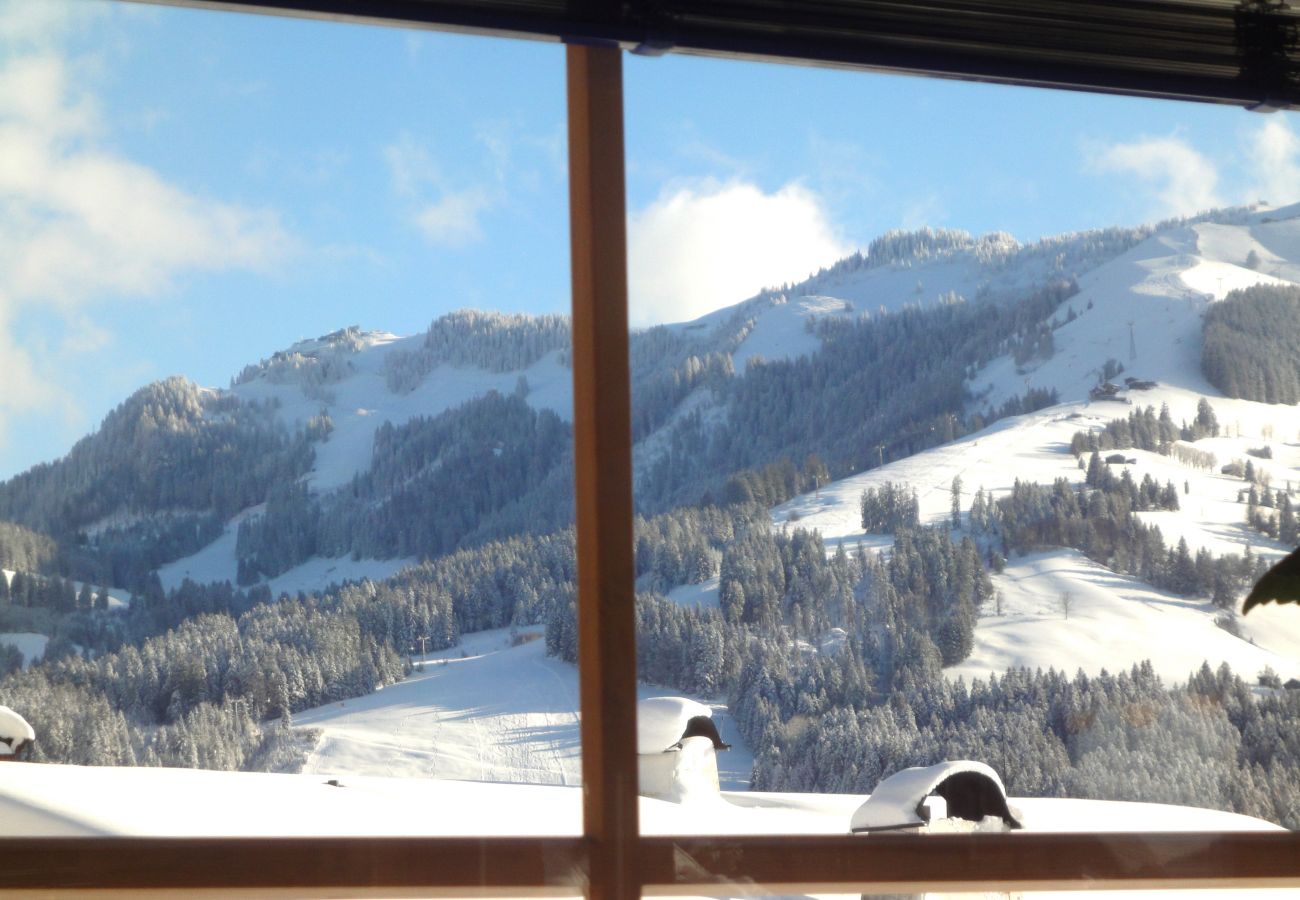 Chalet in Kirchberg in Tirol - Chalet Weinberg Top 2 - 3 bedroom chalet in Kirchberg in Tirol