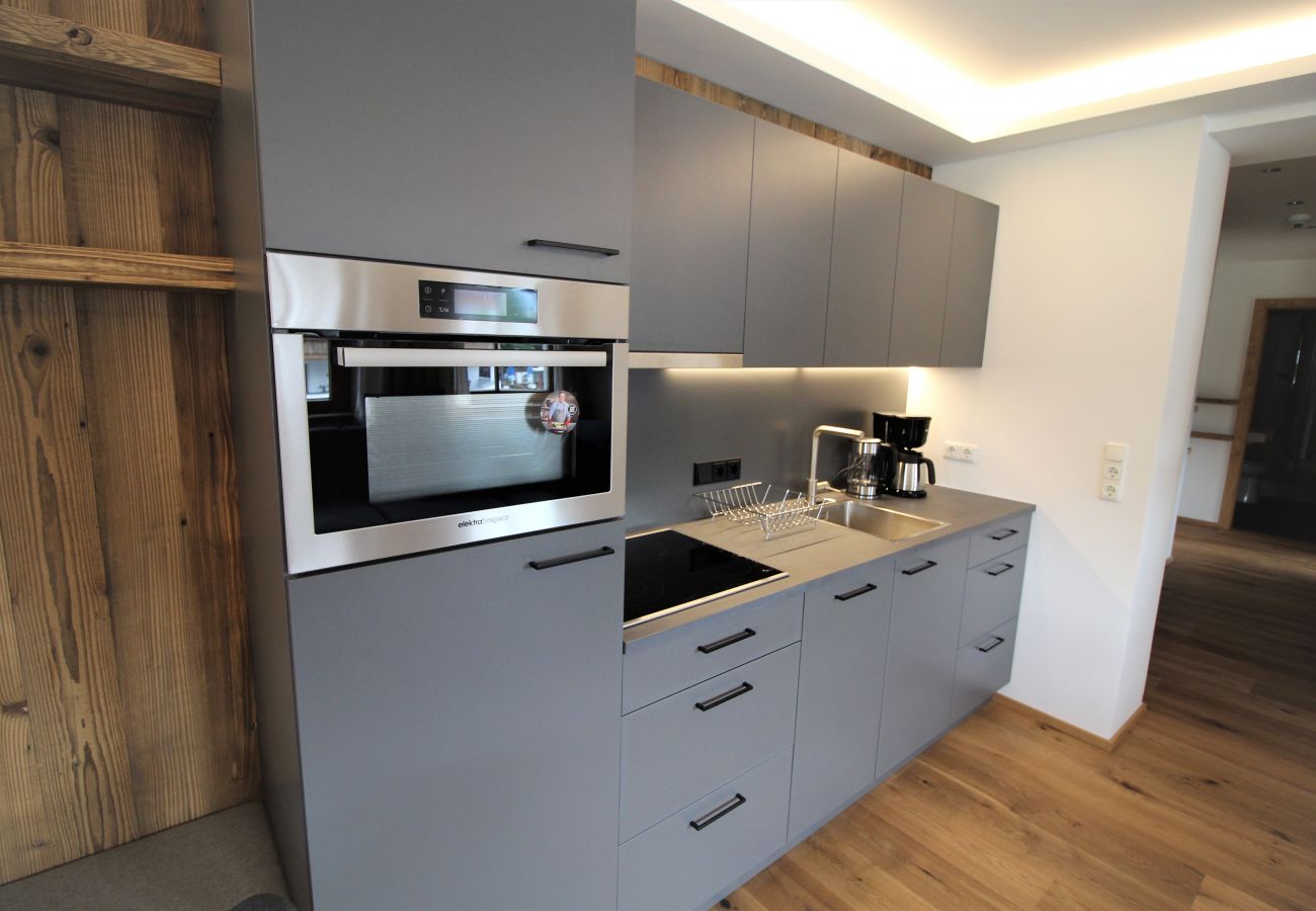Apartment in Kirchberg in Tirol - Mountain View - 2 bedroom apartment in Kirchberg in Tirol