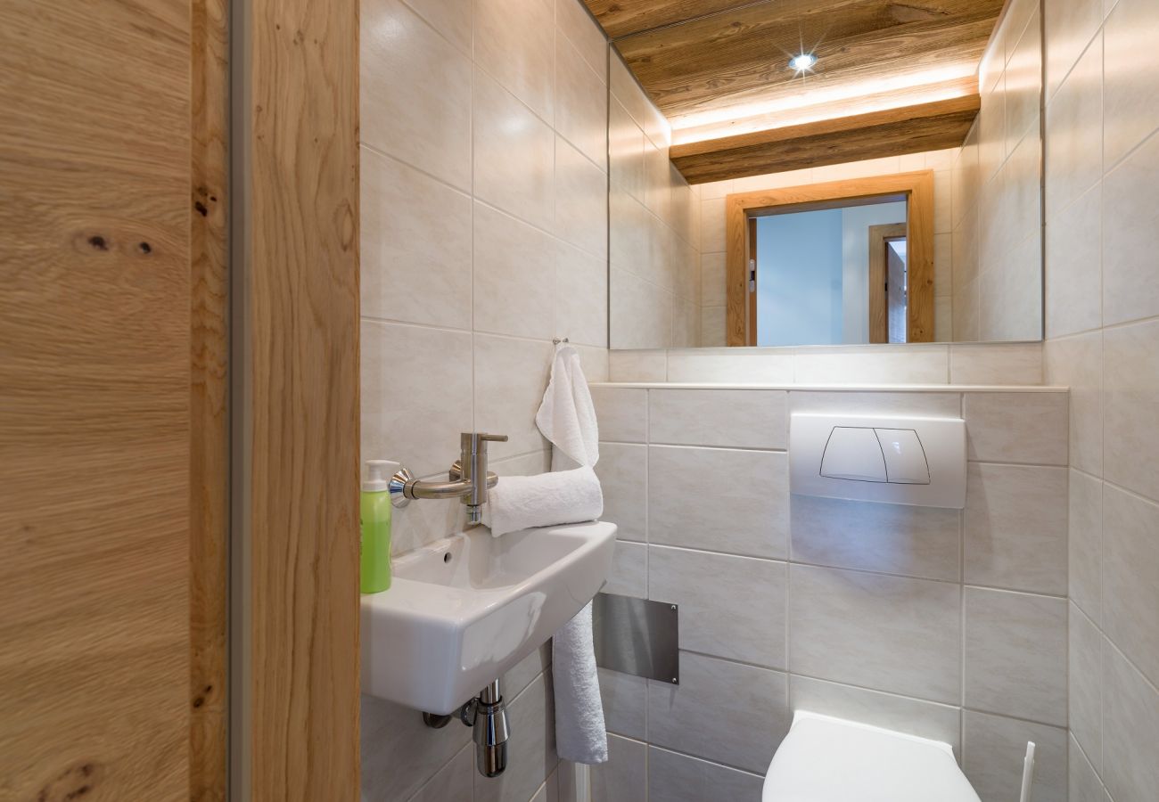 Apartment in Kirchberg in Tirol - Mountain View - 2 bedroom apartment in Kirchberg in Tirol