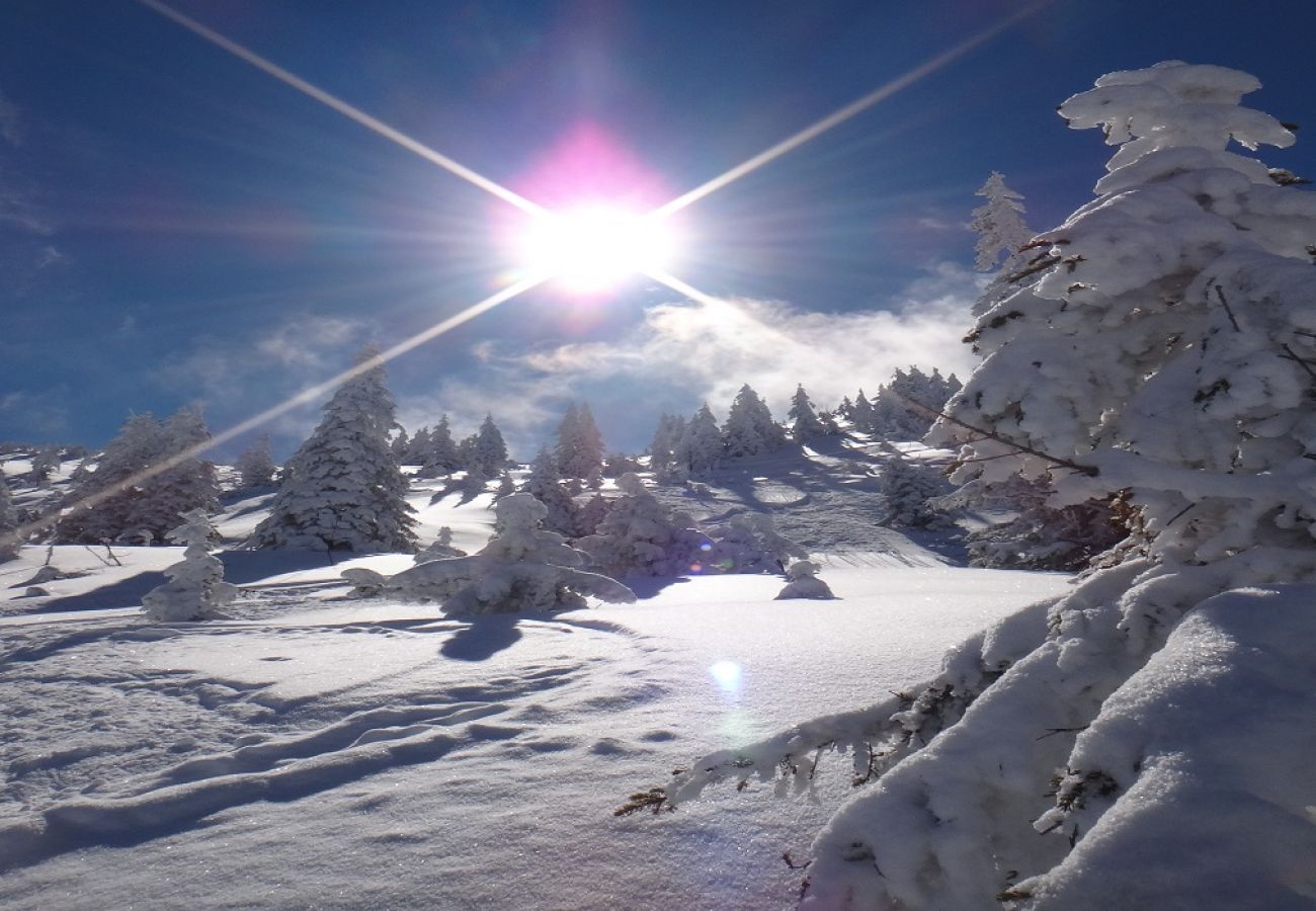 Apartment in Kirchberg in Tirol - Mountain Dream - centre of Kirchberg