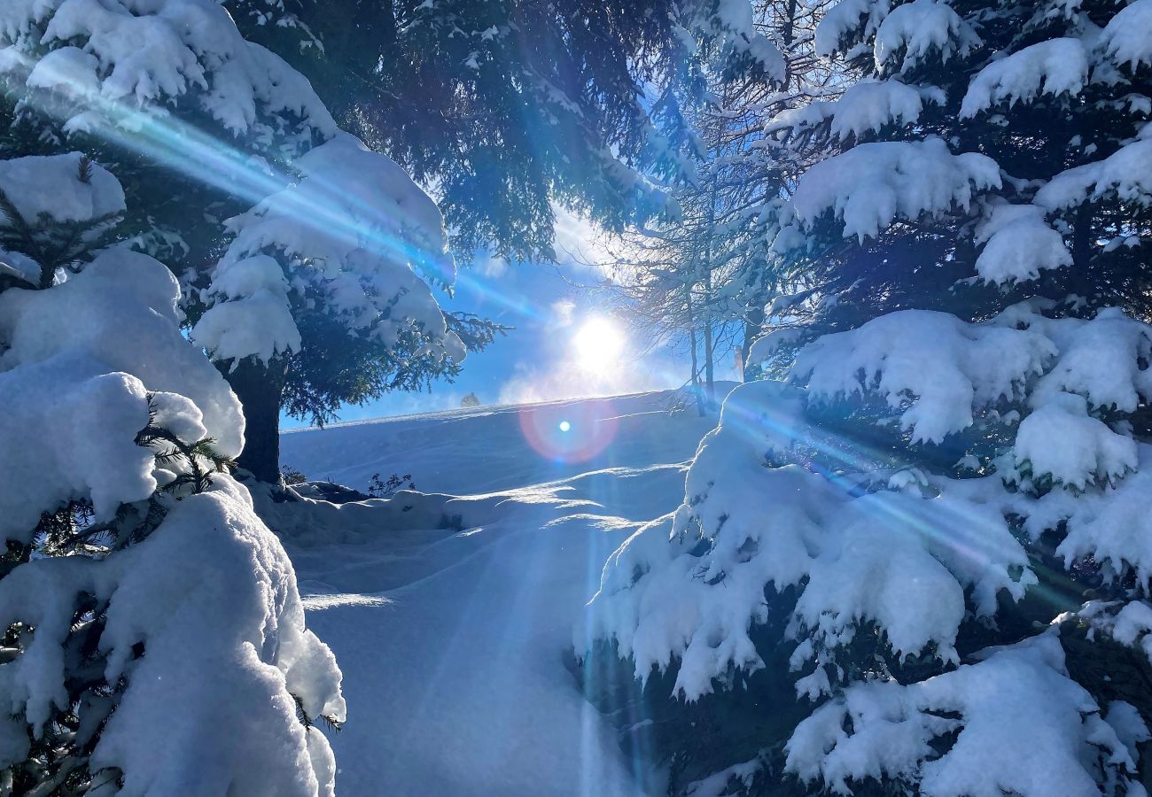 Apartment in Kirchberg in Tirol - Eastside Eastside -just 900m from the centre of Kirchberg and Ski lift