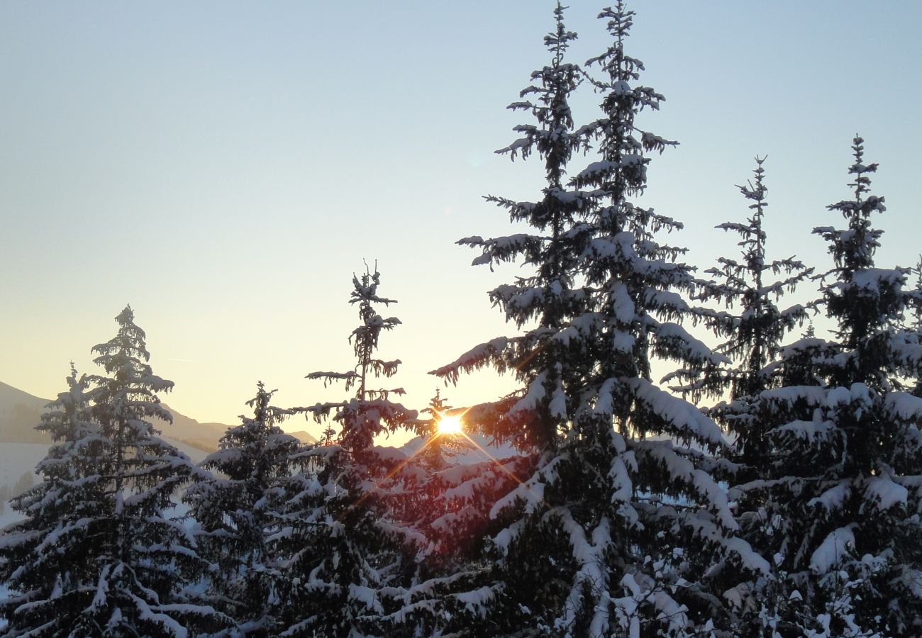 Apartment in Kirchberg in Tirol - Eastside Eastside -just 900m from the centre of Kirchberg and Ski lift