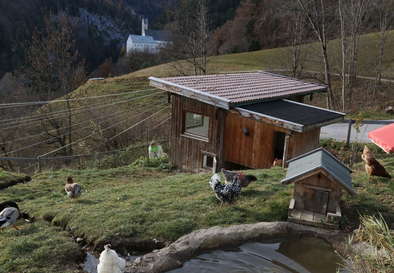 Cabin in Stans - Rossweid Cottage