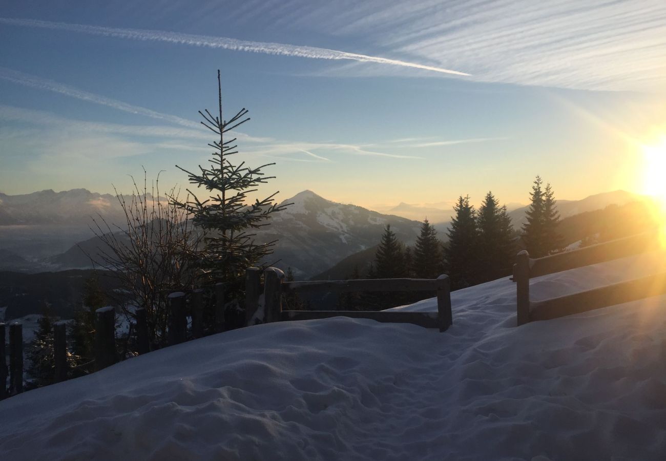 Cabin in Wildschönau-Niederau - Wildschönauer panorama hut