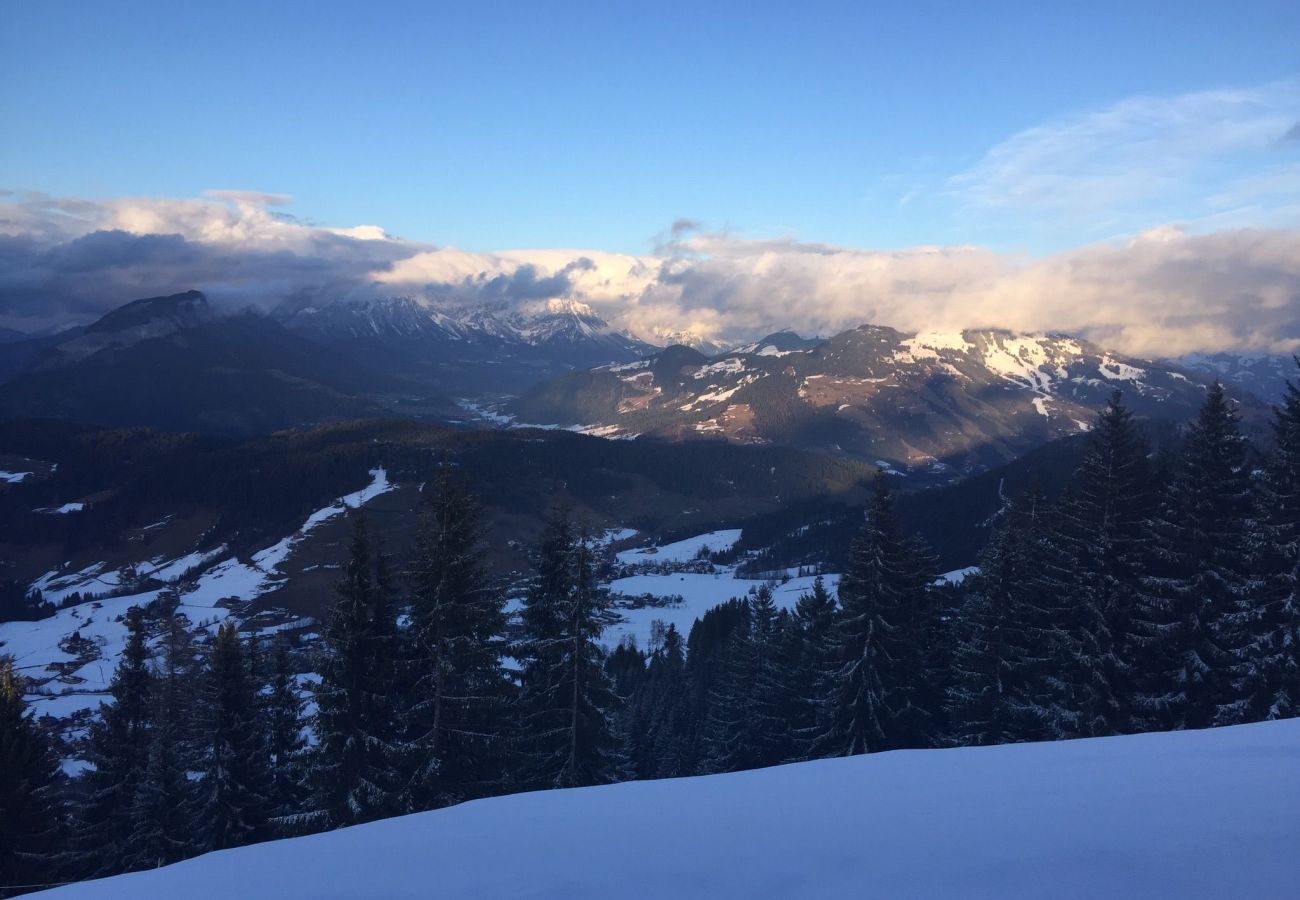 Cabin in Wildschönau-Niederau - Wildschönauer panorama hut