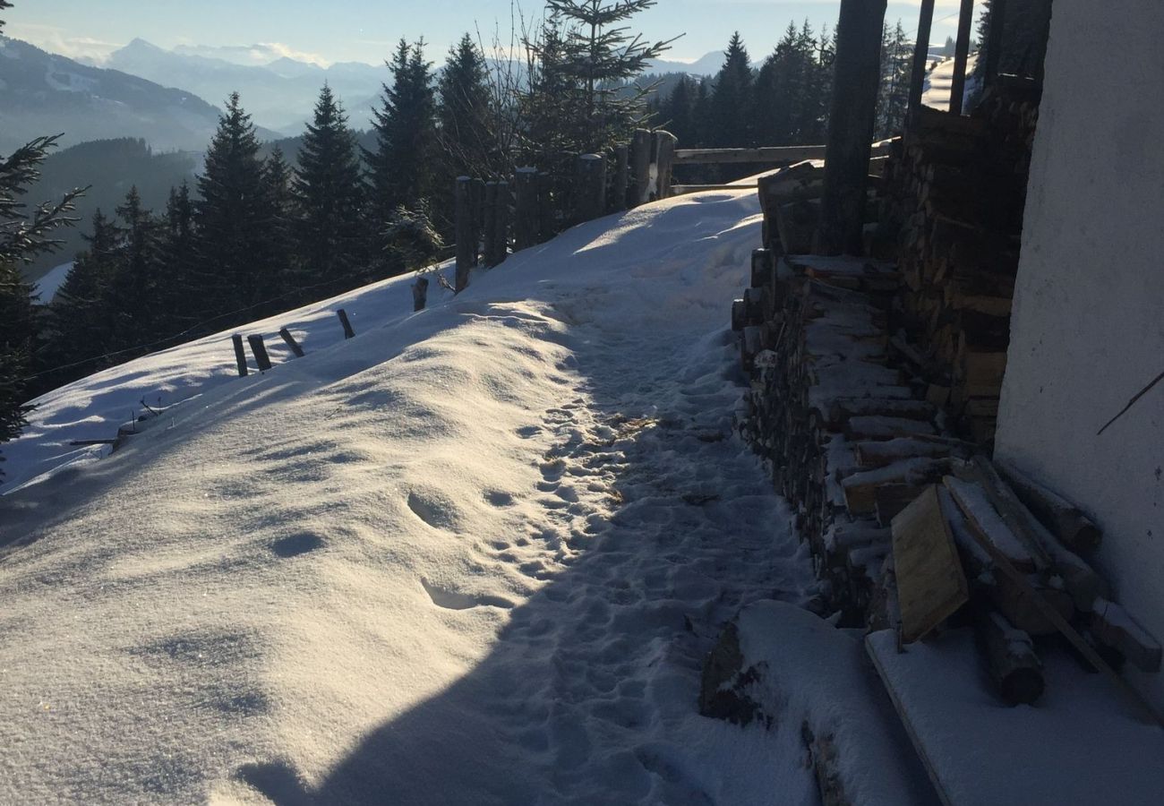 Cabin in Wildschönau-Niederau - Wildschönauer panorama hut