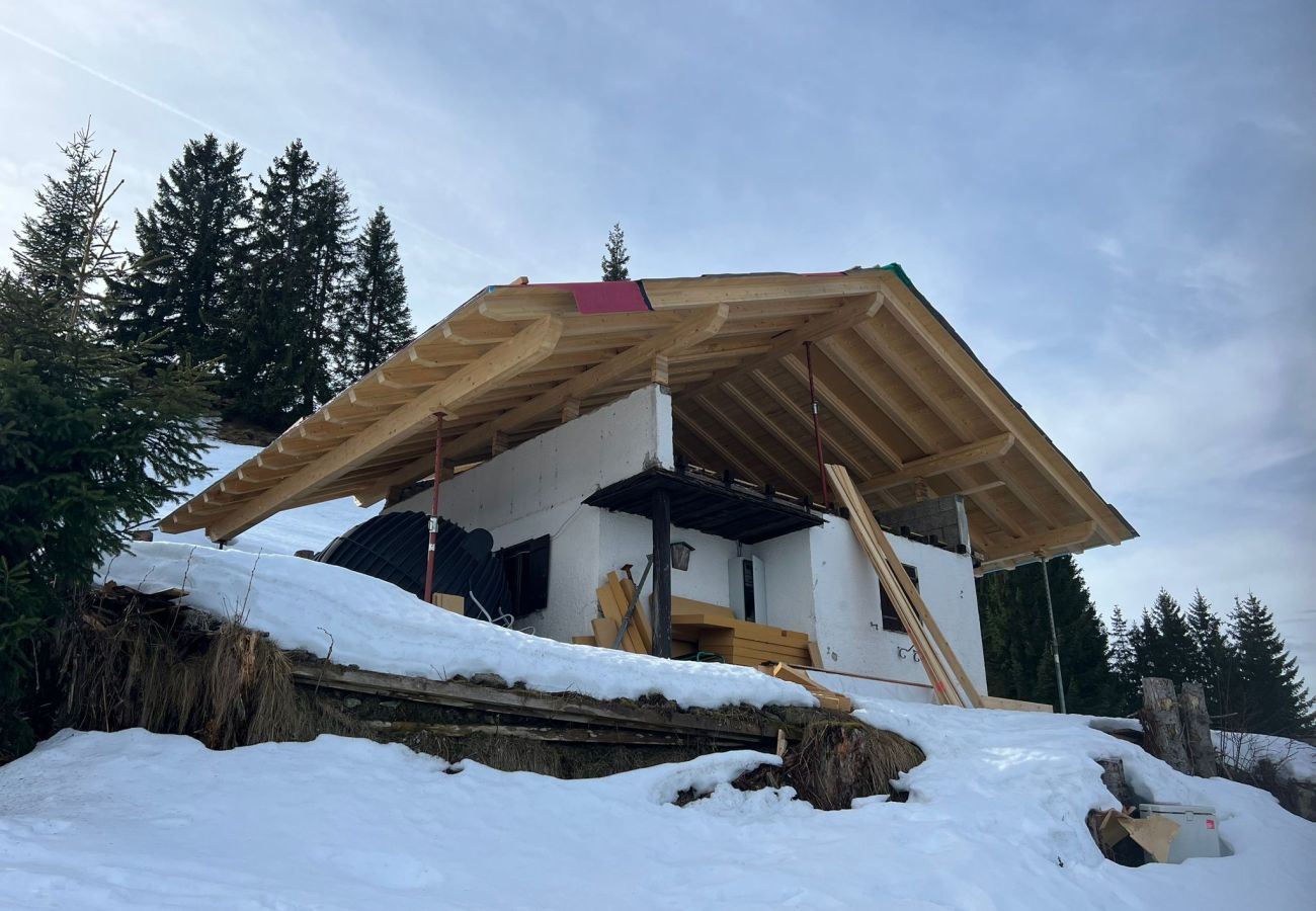 Cabin in Wildschönau-Niederau - Wildschönauer panorama hut