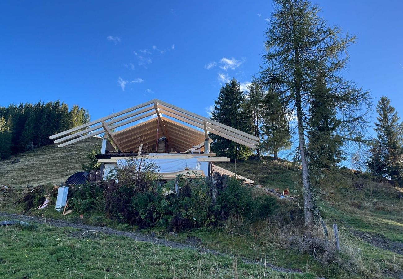 Cabin in Wildschönau-Niederau - Wildschönauer panorama hut