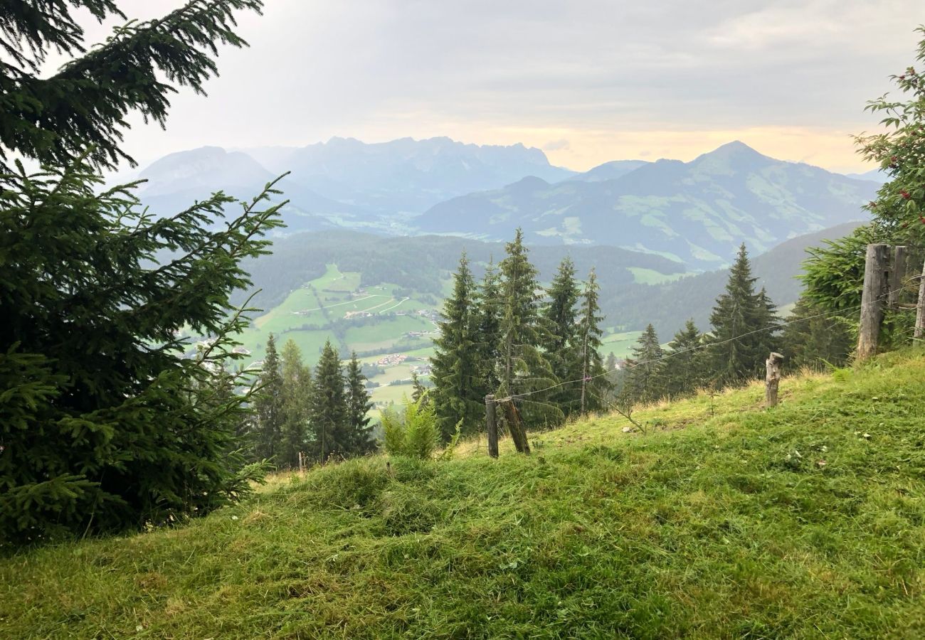 Cabin in Wildschönau-Niederau - Wildschönauer panorama hut