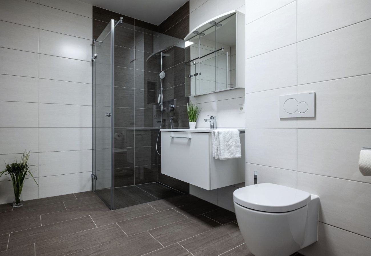 Apartment in Schwaz - City Apartment - Premium