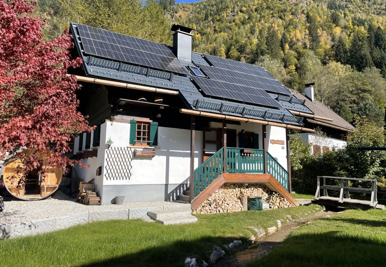 House in Irdning - Ferienhaus Werkstattl