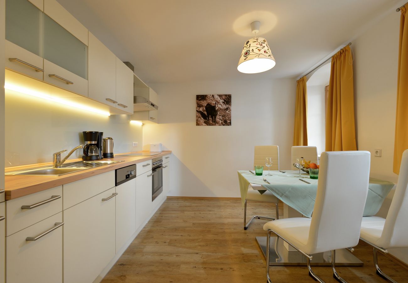 Apartment in Hopfgarten - Jägerhaus apartments