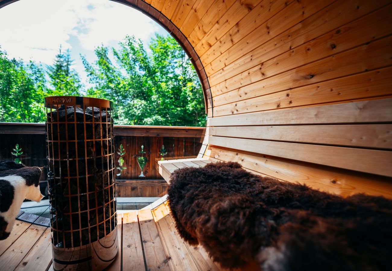 Apartment in Scharnitz - Chamois Suite 