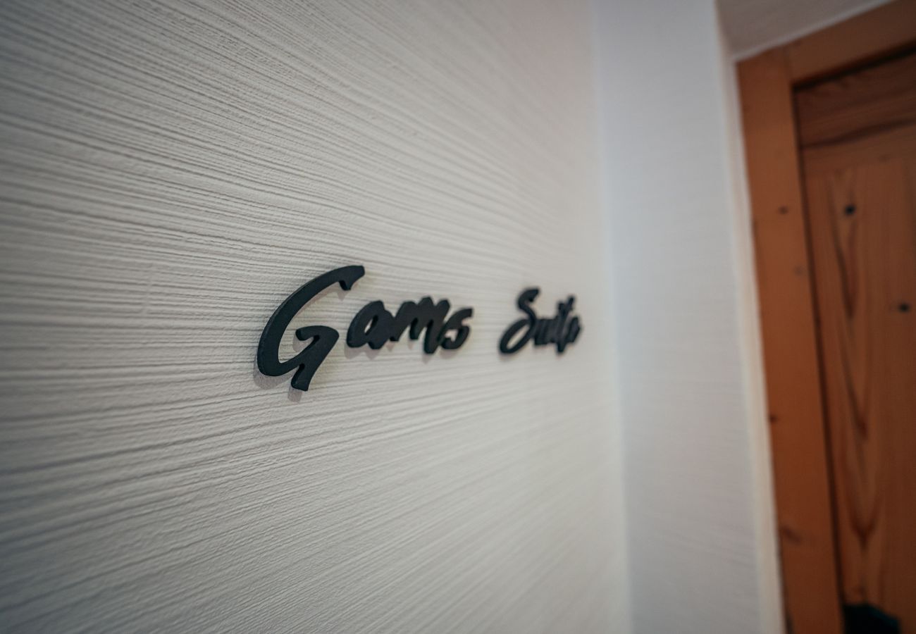 Apartment in Scharnitz - Chamois Suite 