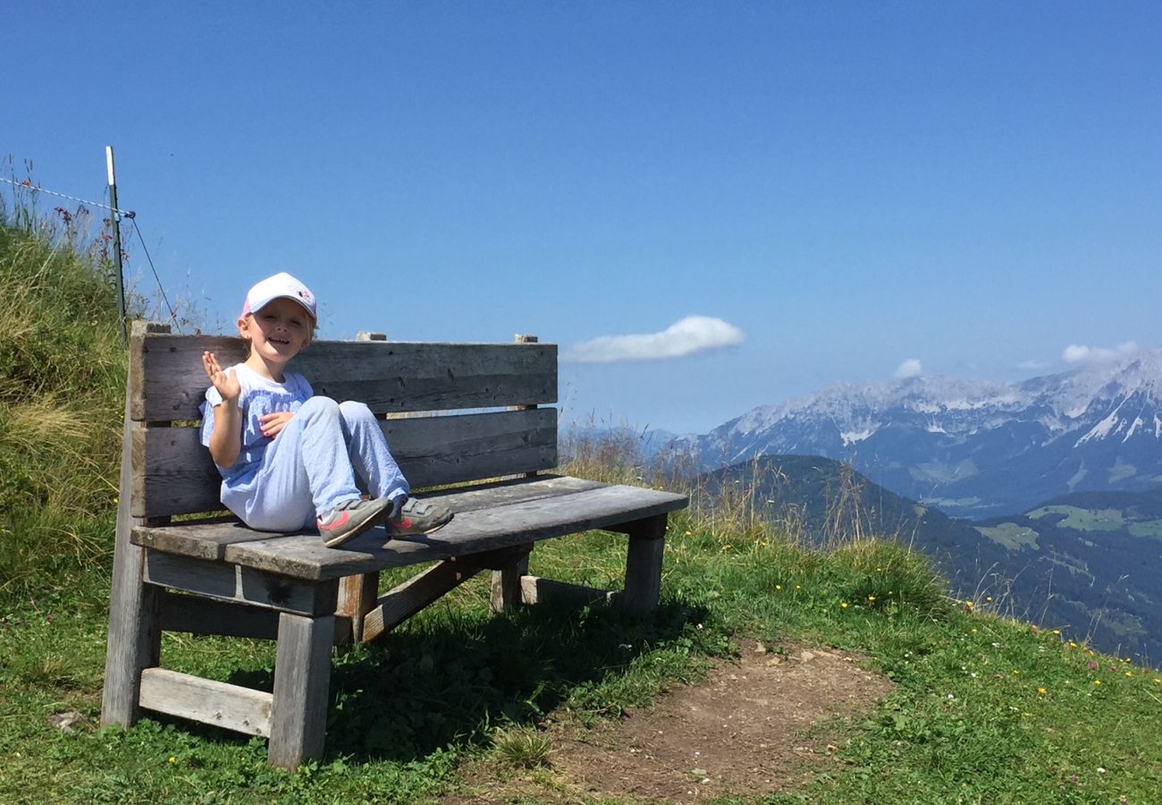 Studio in Kirchberg in Tirol - Franglhof Fleckalm in Kirchberg