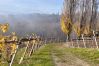 Chalet in Tieschen - Nature Chalet 