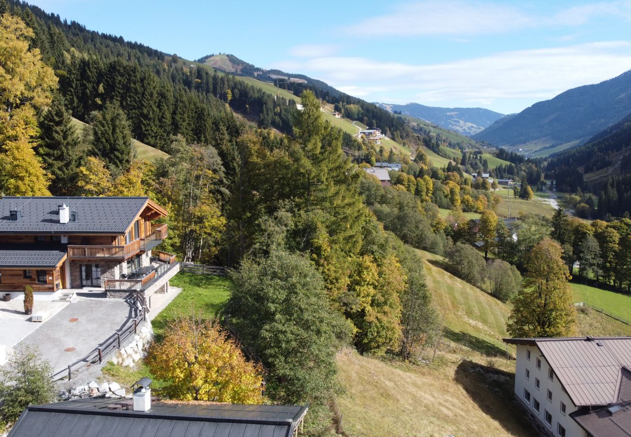 Chalet in Saalbach - Mountain Lodge Saalbach Hinterglemm