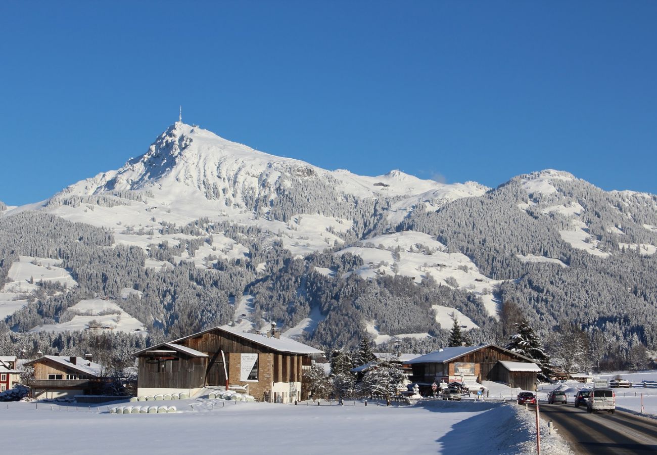 Ferienwohnung in Kirchberg in Tirol - Mountain Dream -  Zentrum von Kirchberg
