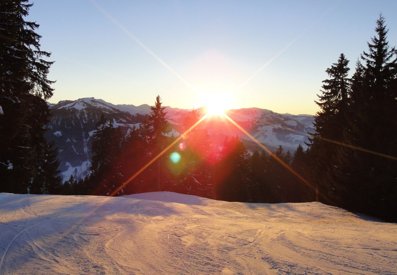 Ferienwohnung in Kirchberg in Tirol - Mountain Dream -  Zentrum von Kirchberg