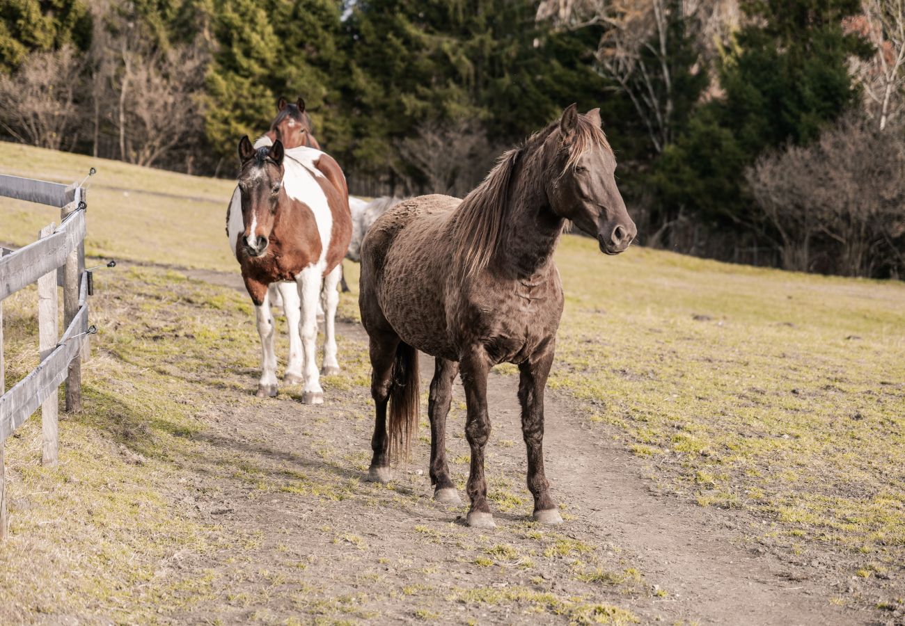 Blockhütte in Stans - Rossweid Huette