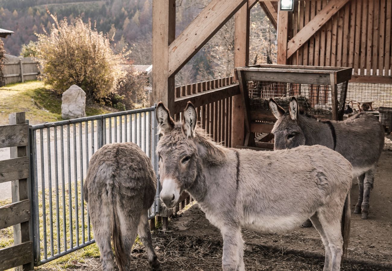 Blockhütte in Stans - Rossweid Huette