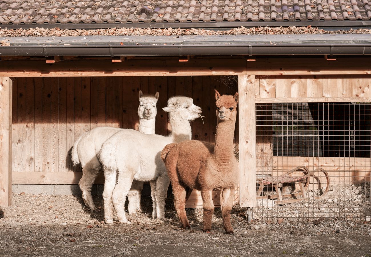 Blockhütte in Stans - Rossweid Huette