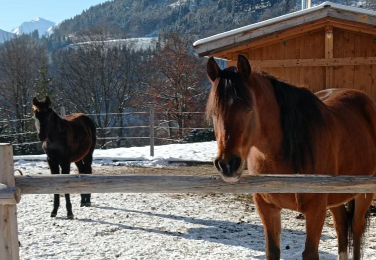 Blockhütte in Stans - Rossweid Huette