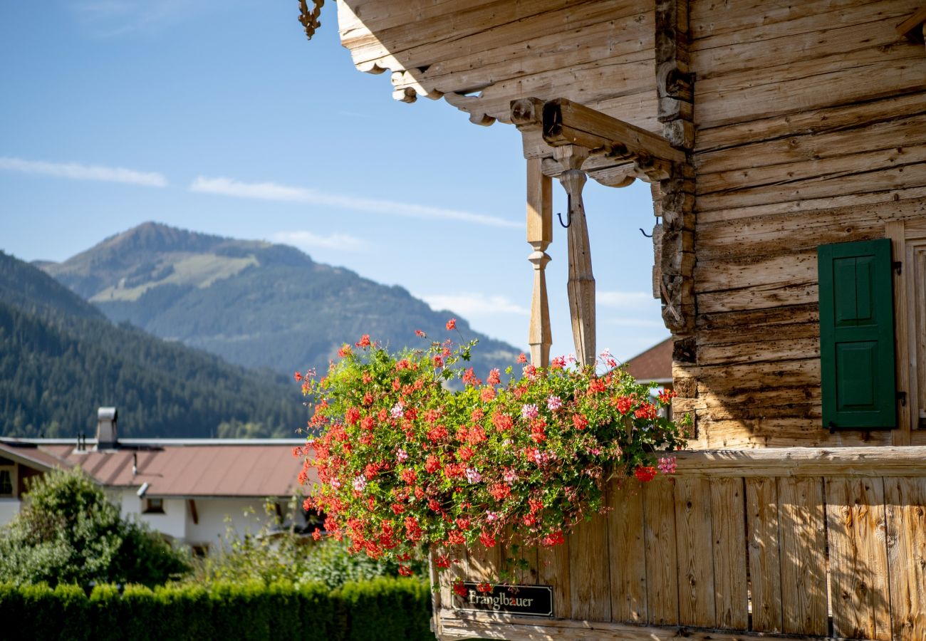 Ferienwohnung in Kirchberg in Tirol - Frangl moderne Appartement mit 2 Schlafzimmer