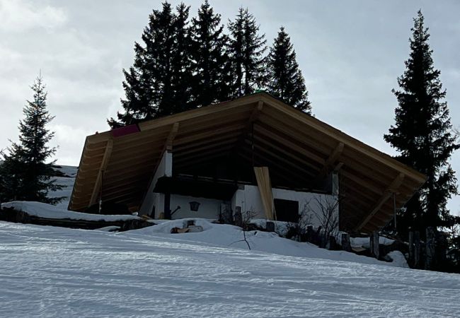 Blockhütte in Wildschönau-Niederau - Wildschönauer Panoramahütte