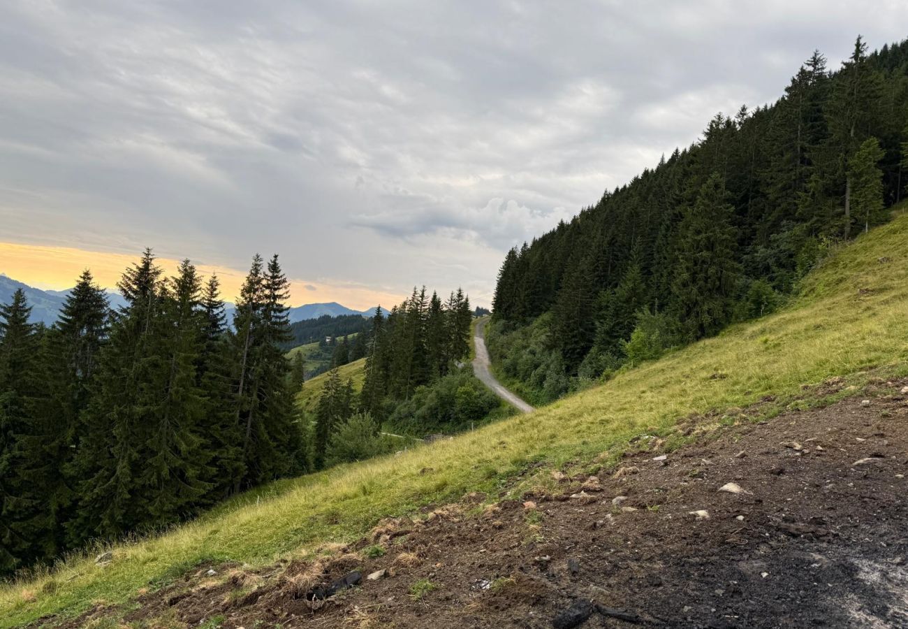 Blockhütte in Wildschönau-Niederau - Wildschönauer Panoramahütte