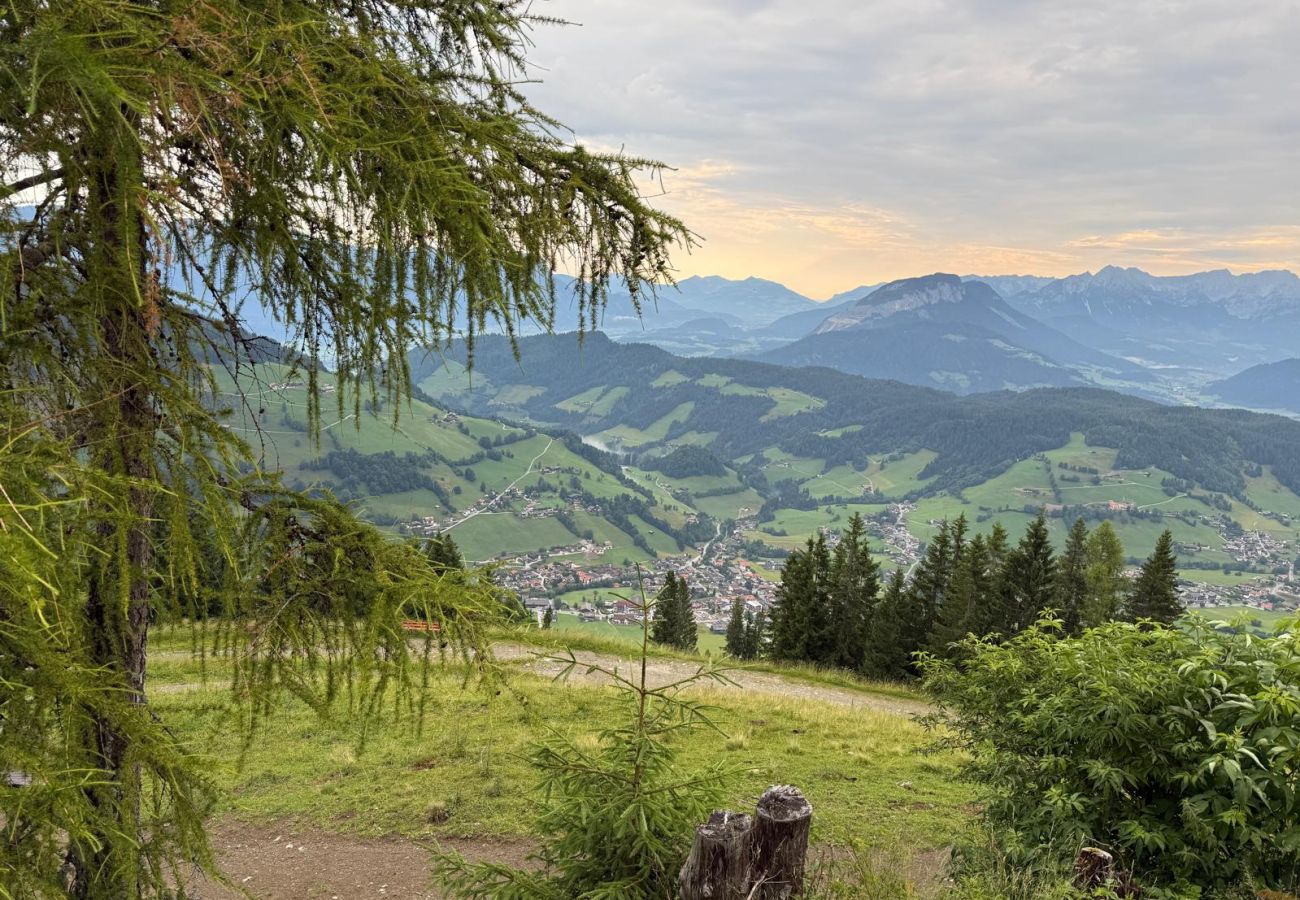 Blockhütte in Wildschönau-Niederau - Wildschönauer Panoramahütte