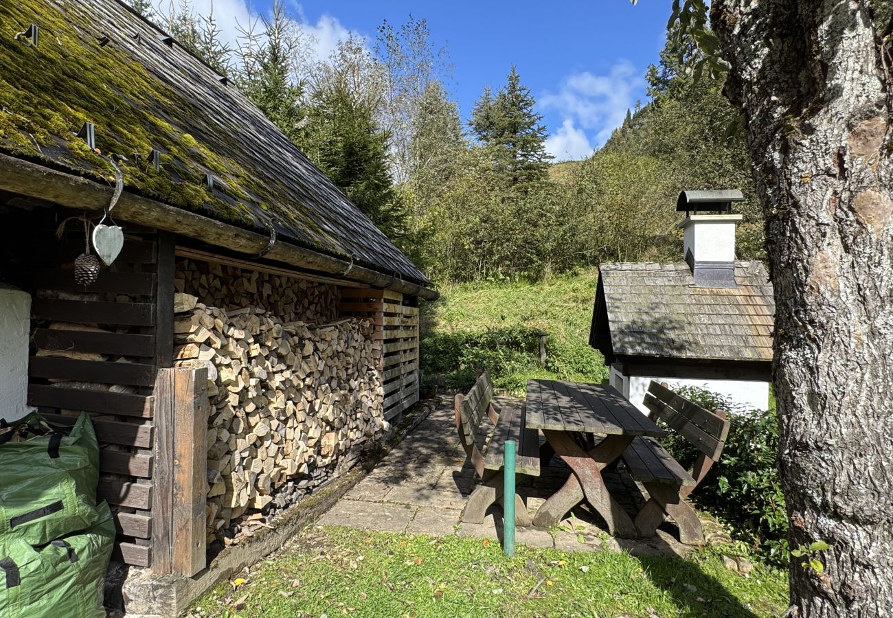 Ferienhaus in Irdning - Ferienhaus Fischerhütte