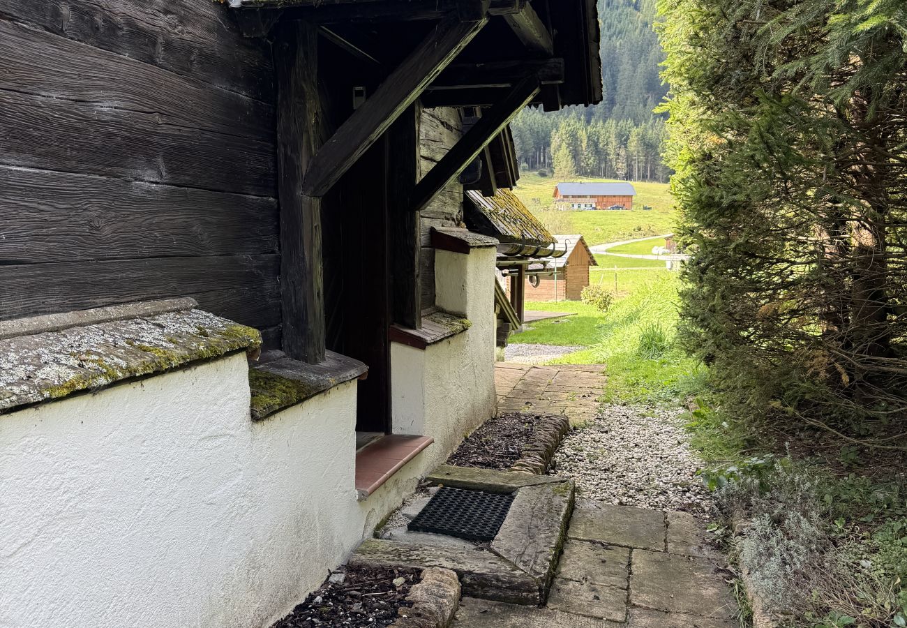 Ferienhaus in Irdning - Ferienhaus Fischerhütte