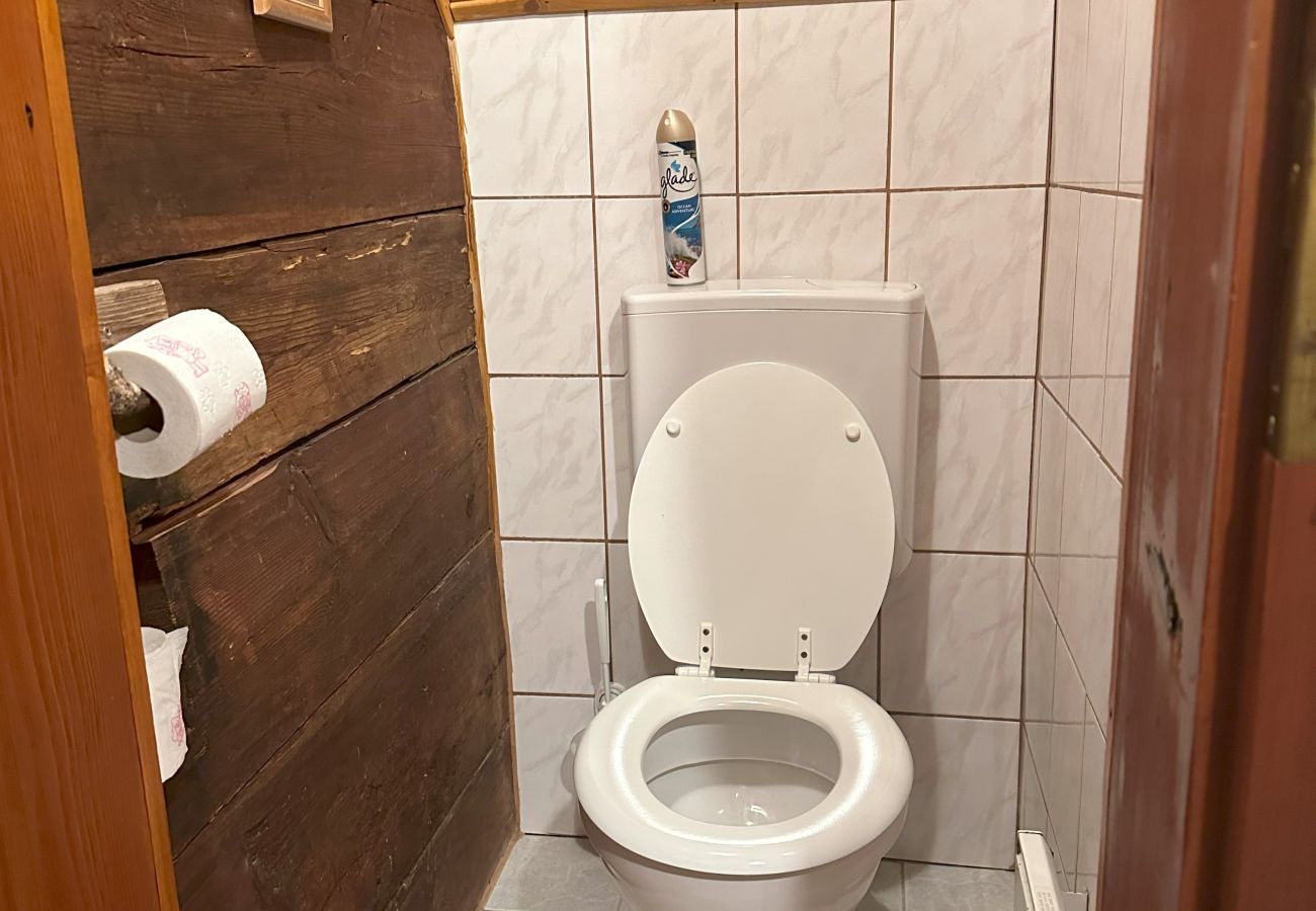 Ferienhaus in Irdning - Ferienhaus Werkstattl