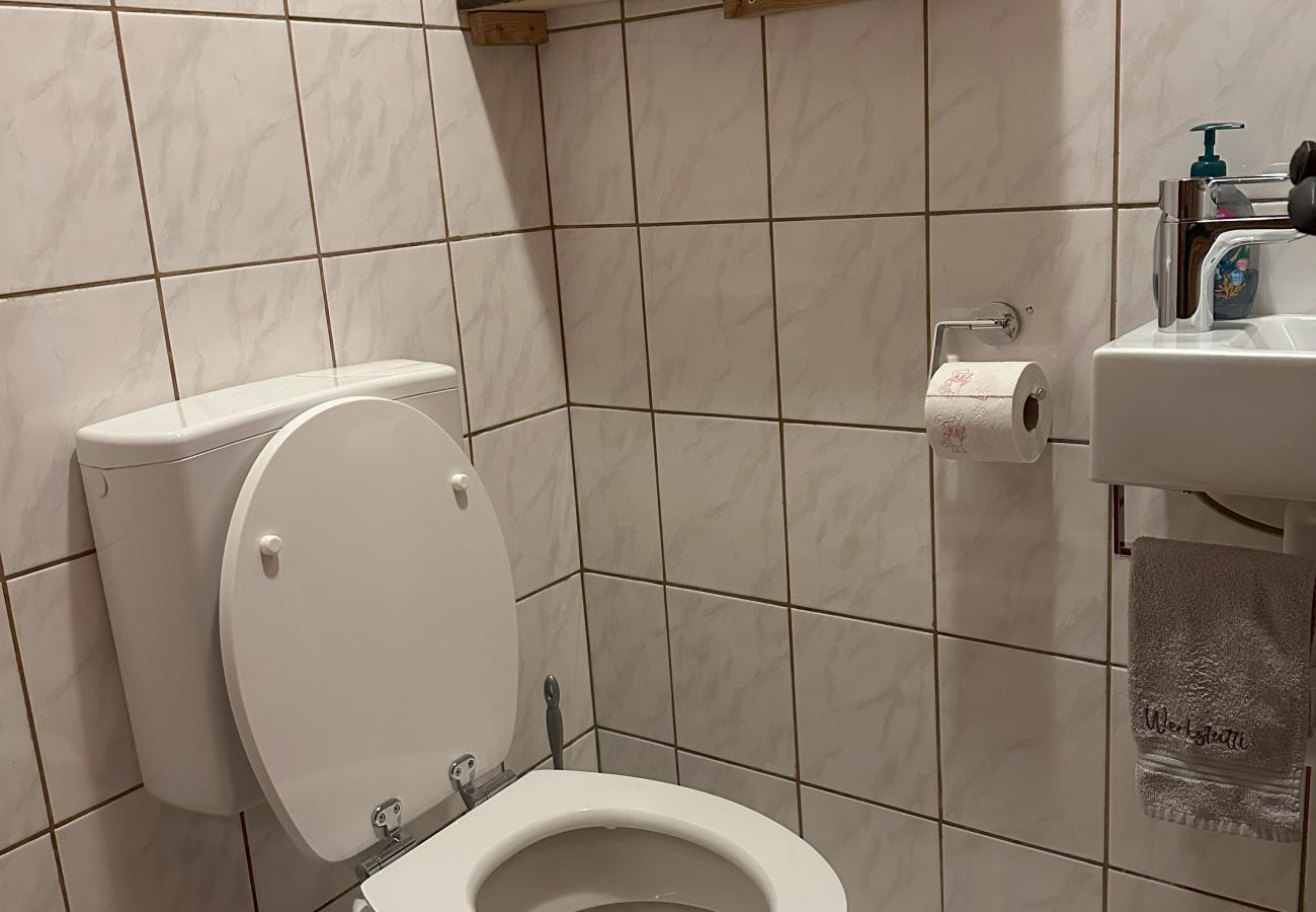 Ferienhaus in Irdning - Ferienhaus Werkstattl