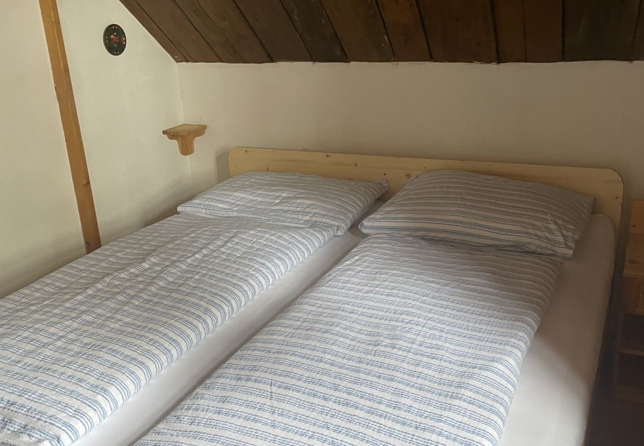 Ferienhaus in Irdning - Ferienhaus Werkstattl