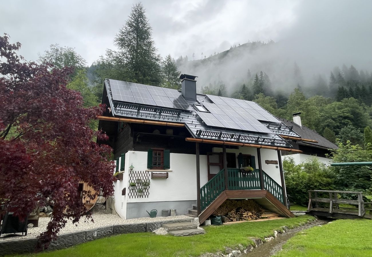 Ferienhaus in Irdning - Ferienhaus Werkstattl