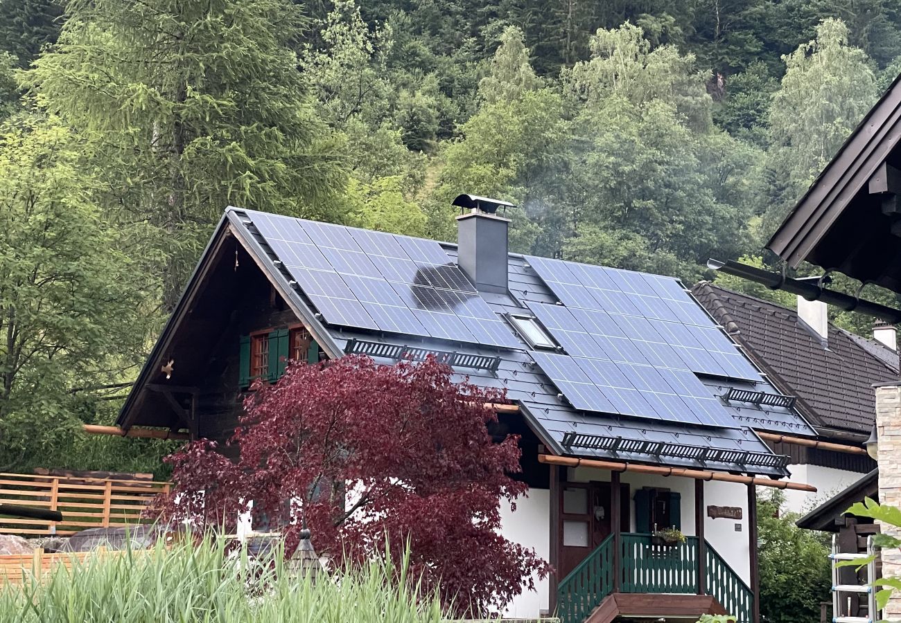 Ferienhaus in Irdning - Ferienhaus Werkstattl