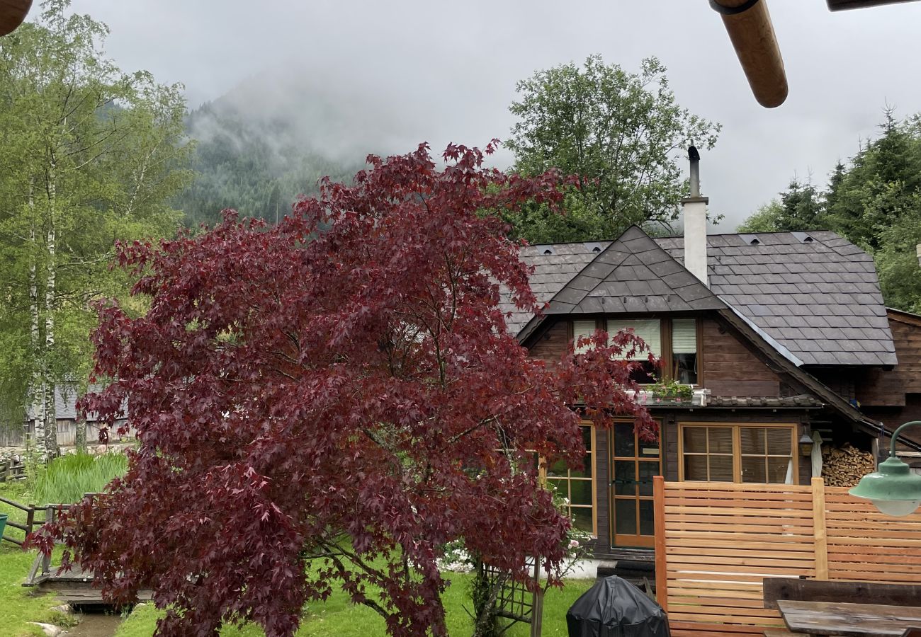 Ferienhaus in Irdning - Ferienhaus Werkstattl