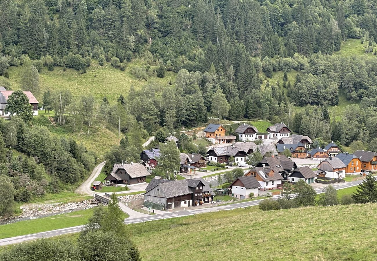 Ferienhaus in Irdning - Ferienhaus Werkstattl
