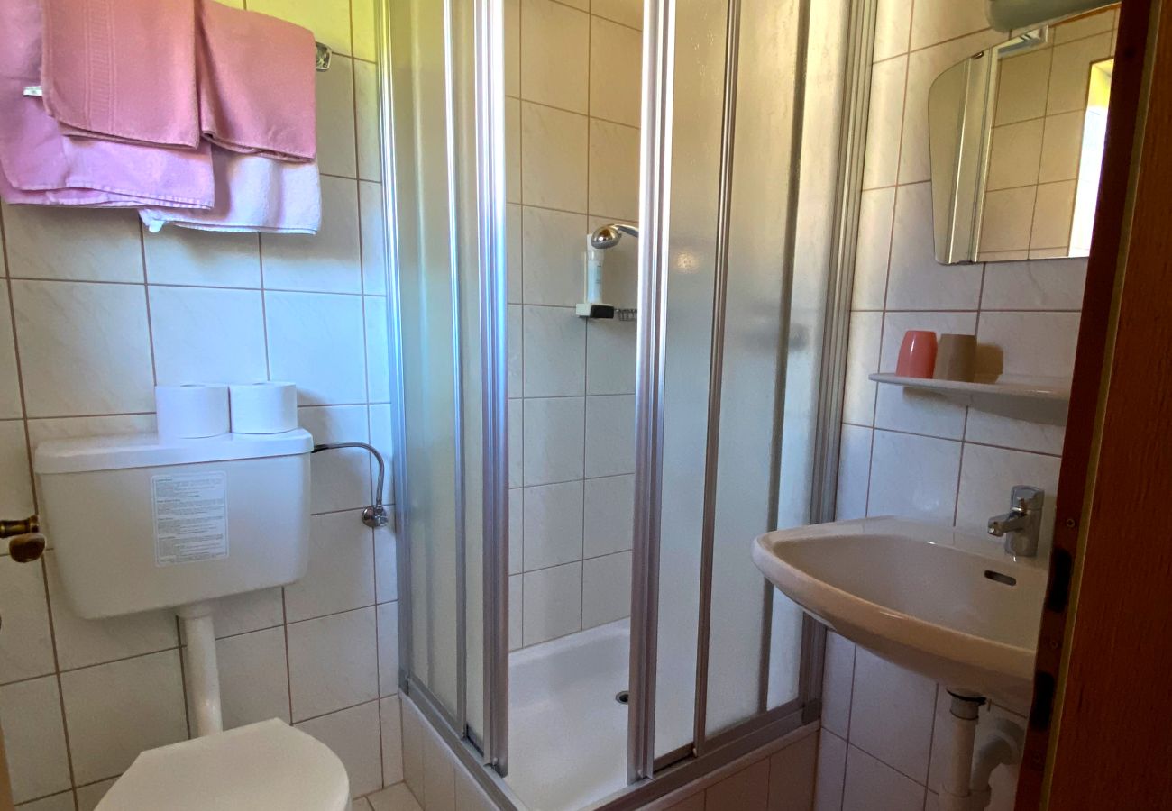 Studio in Kirchberg in Tirol - Franglhof Fleckalm in Kirchberg