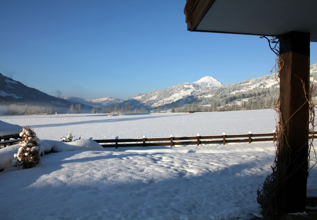 Studio in Kirchberg in Tirol - Franglhof Fleckalm in Kirchberg