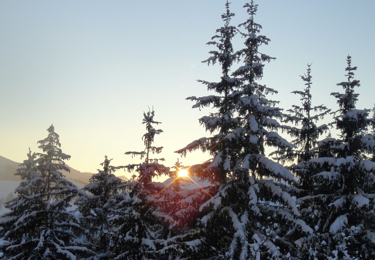 Studio in Kirchberg in Tirol - Franglhof Fleckalm in Kirchberg