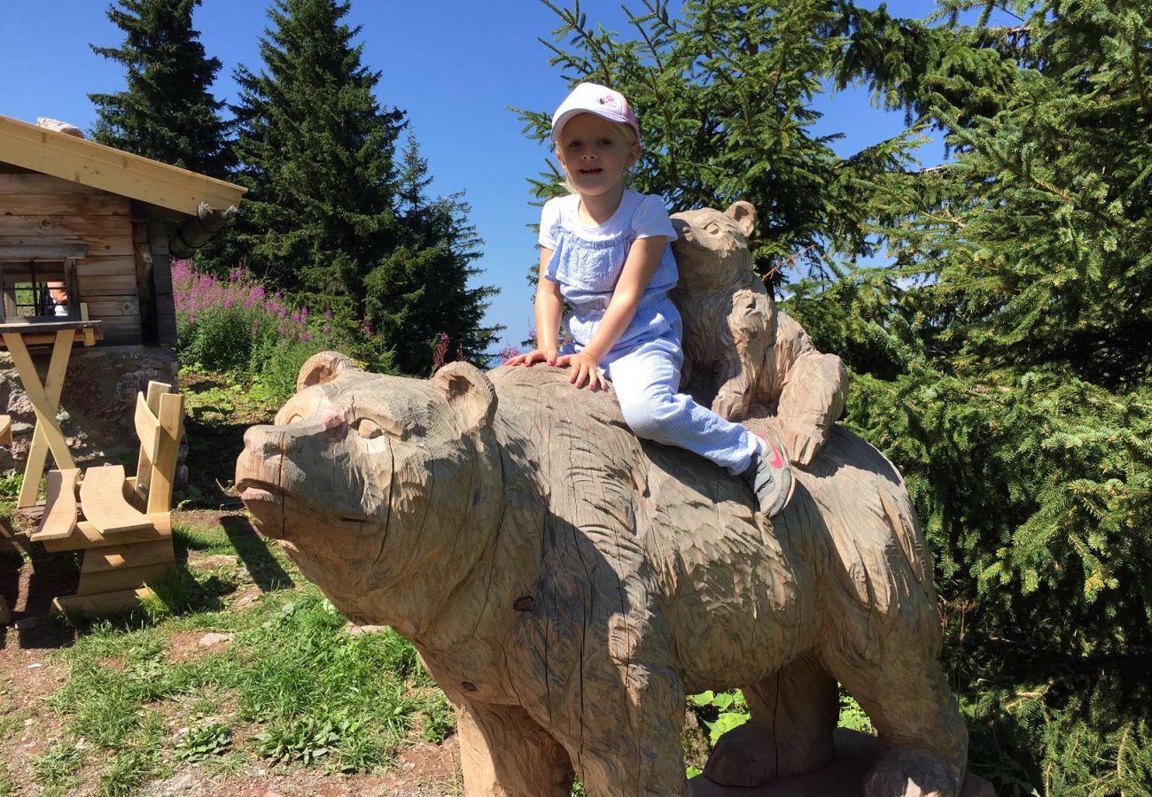 Studio in Kirchberg in Tirol - Franglhof Fleckalm in Kirchberg