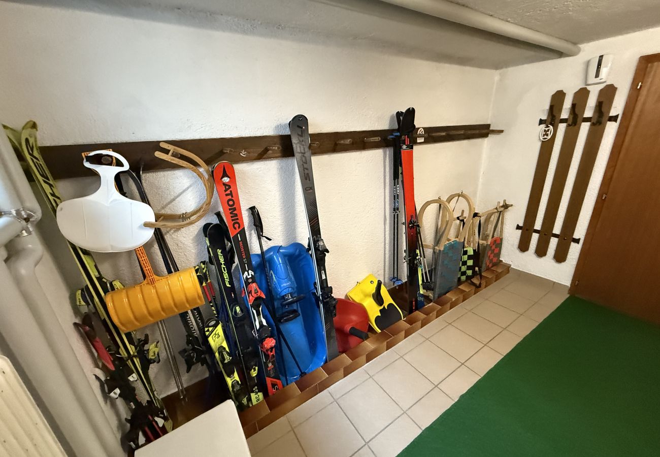 Studio in Kirchberg in Tirol - Franglhof Fleckalm in Kirchberg