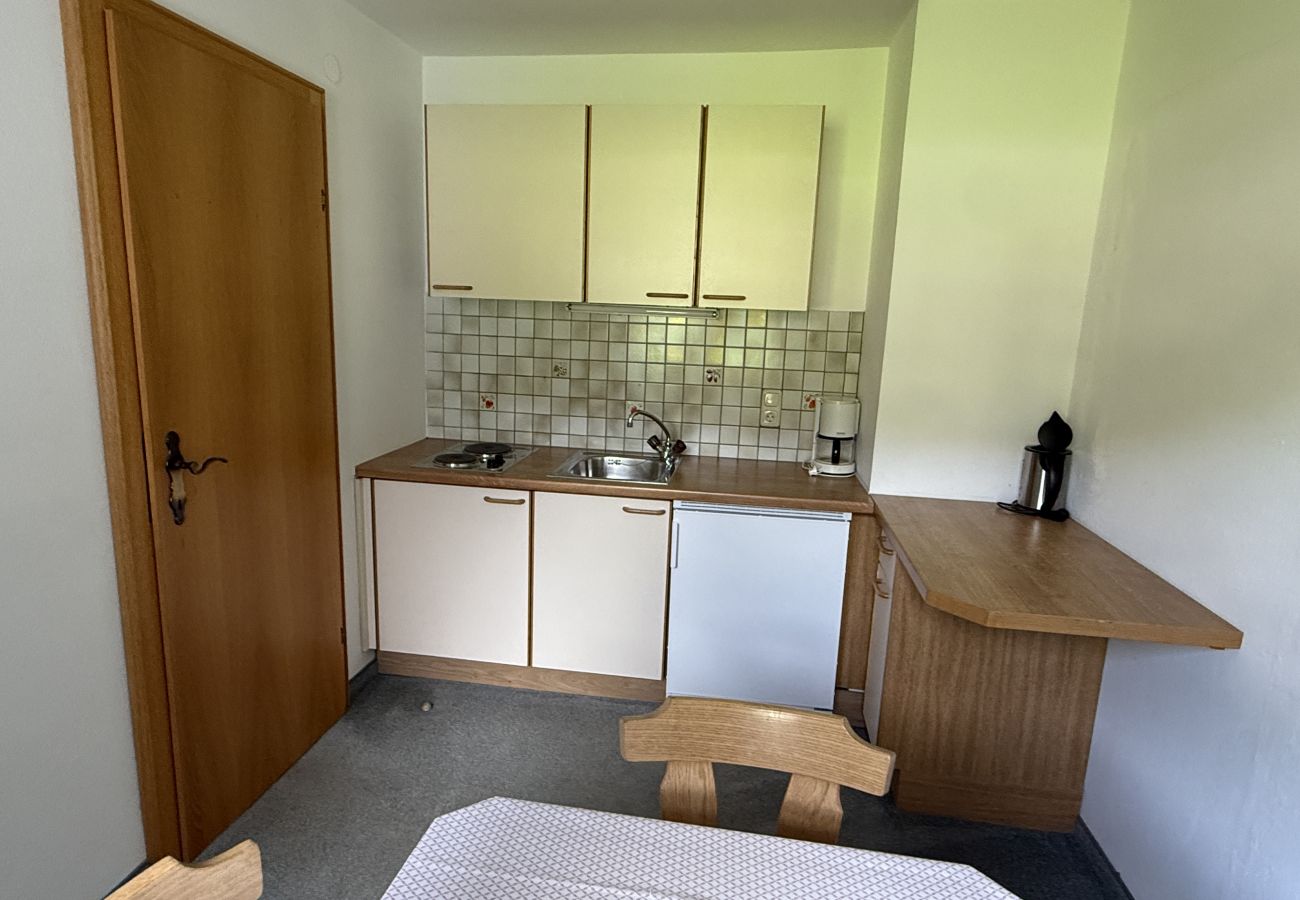 Studio in Kirchberg in Tirol - Franglhof Fleckalm in Kirchberg
