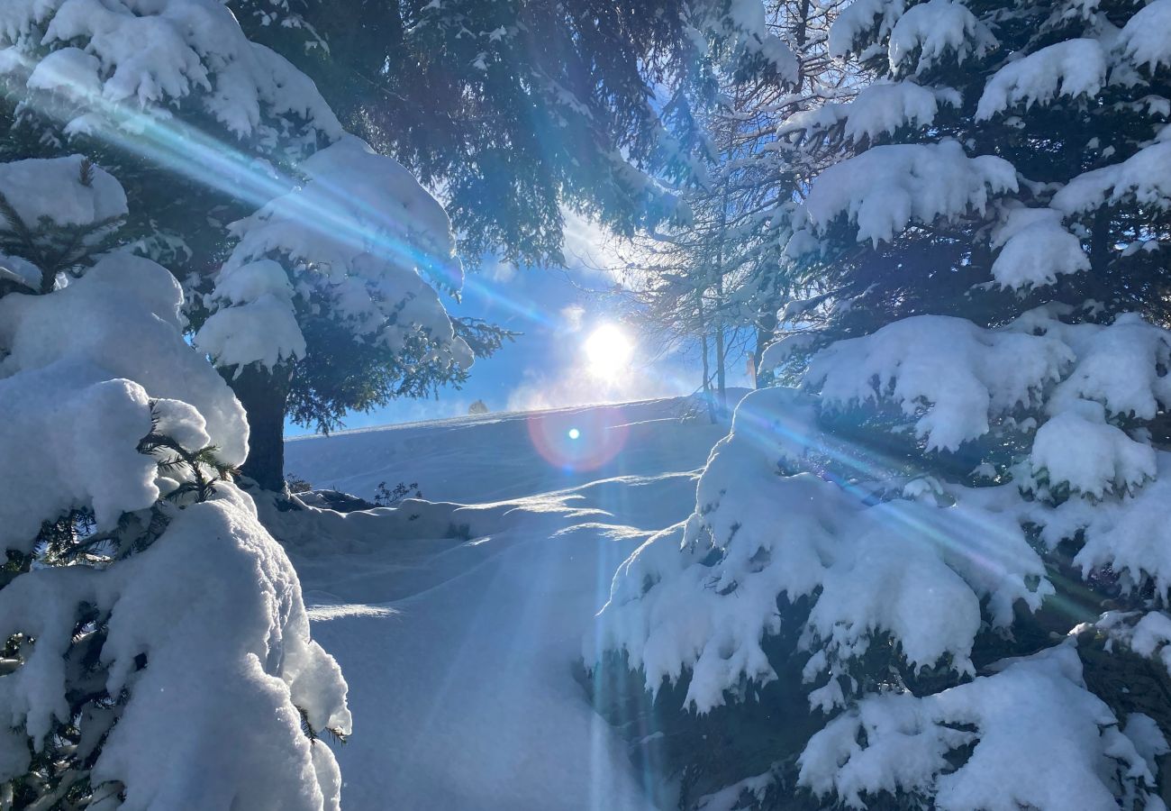 Studio in Kirchberg in Tirol - Franglhof Hohe Salve