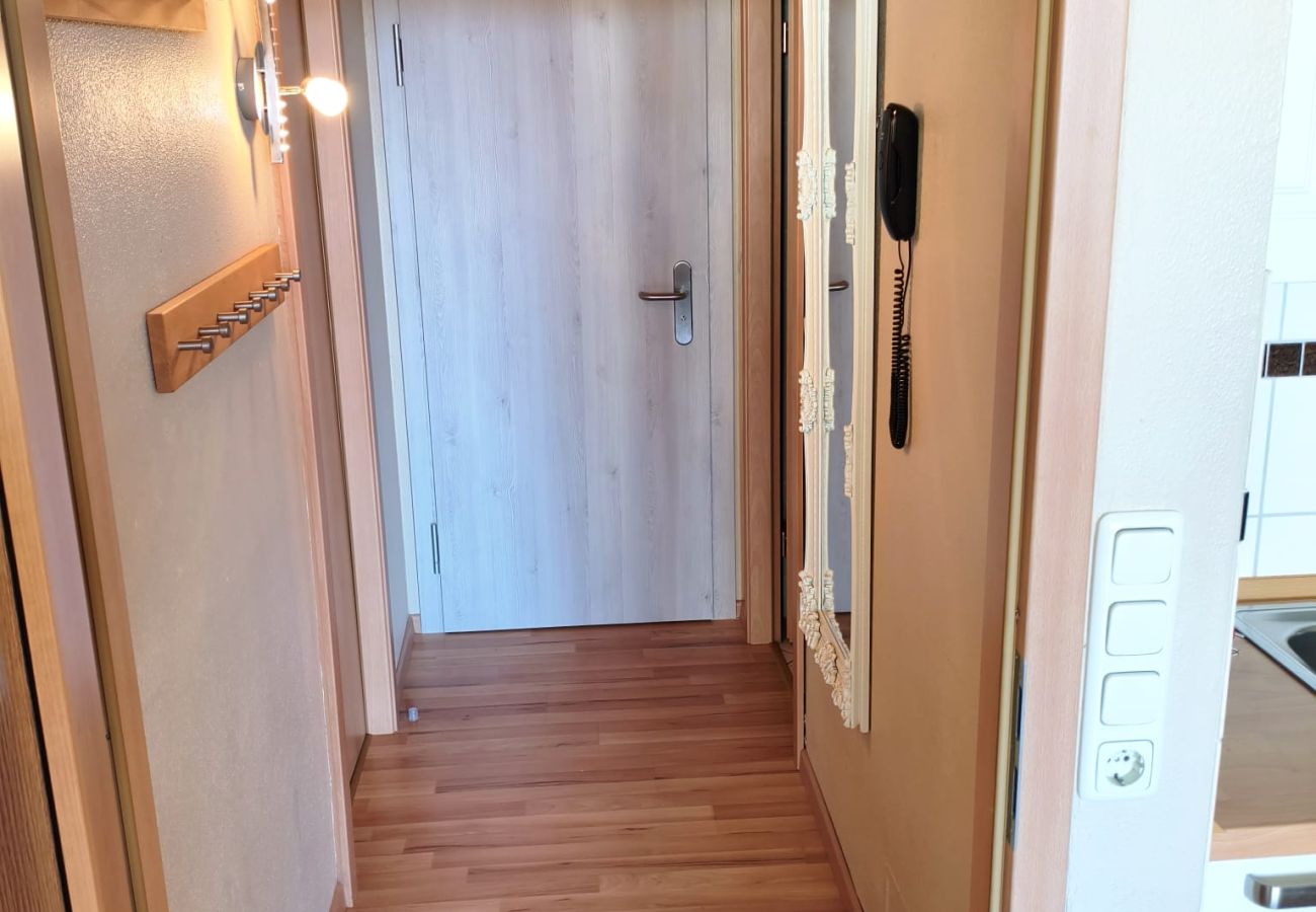 Ferienwohnung in Hohegeiß - Panoramic Hohegeiß