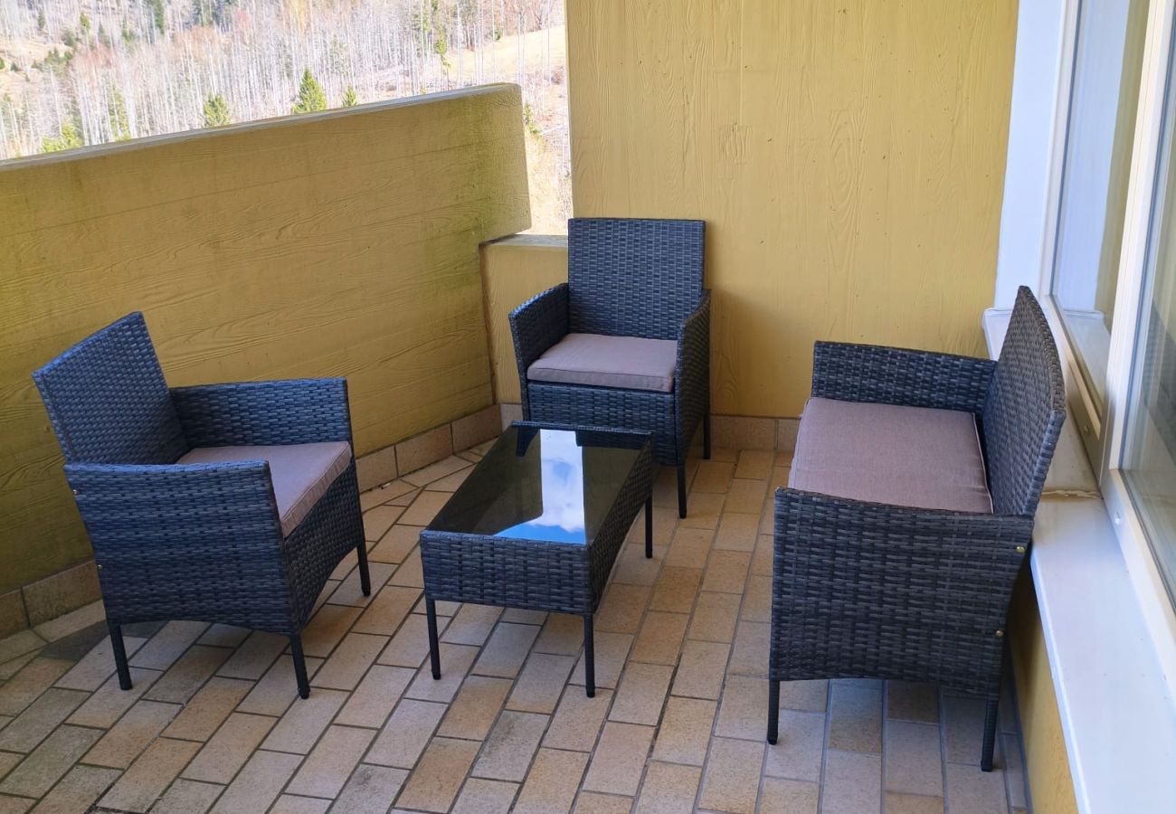 Ferienwohnung in Hohegeiß - Panoramic Hohegeiß
