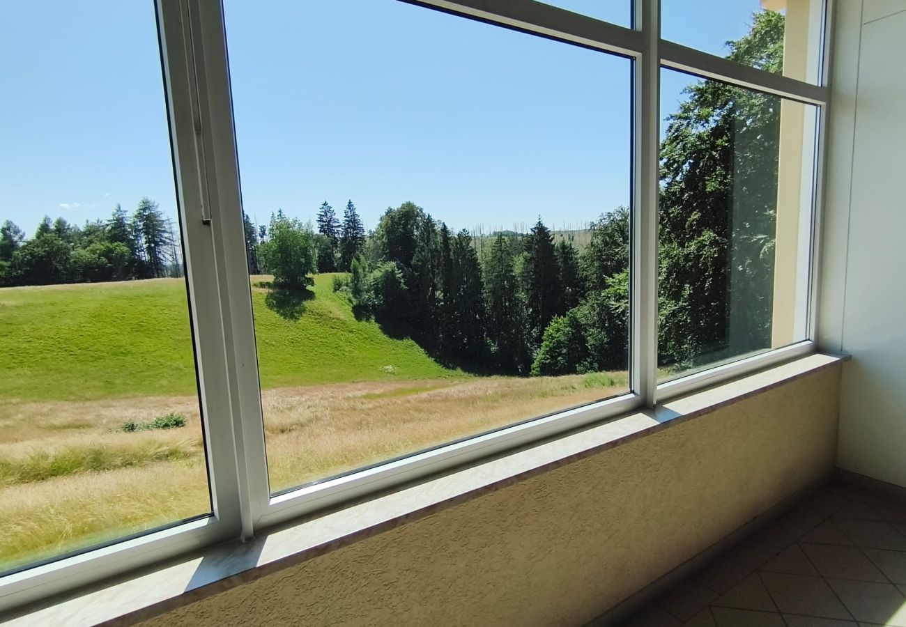 Ferienwohnung in Braunlage - Panoramic Hohegeiß mit Hallenbad 
